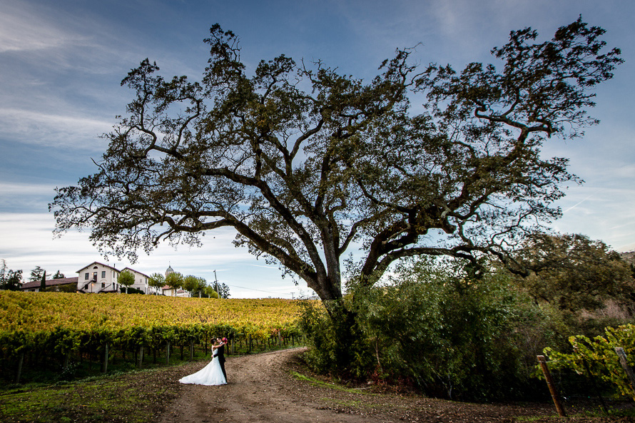 Napa Wedding Photography | Christian Brothers Retreat | Hess Vineyards
