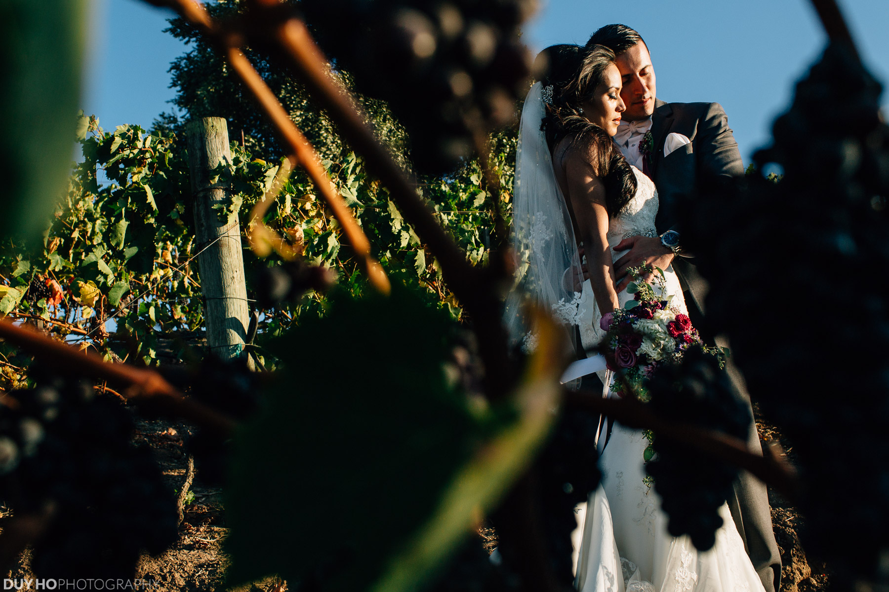 Viansa Winery Wedding Photo