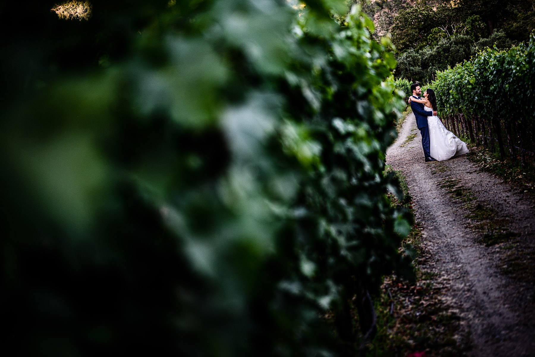 Bride and Groom portrait in the vineyards at Calistoga Ranch Wedding by Duy Ho