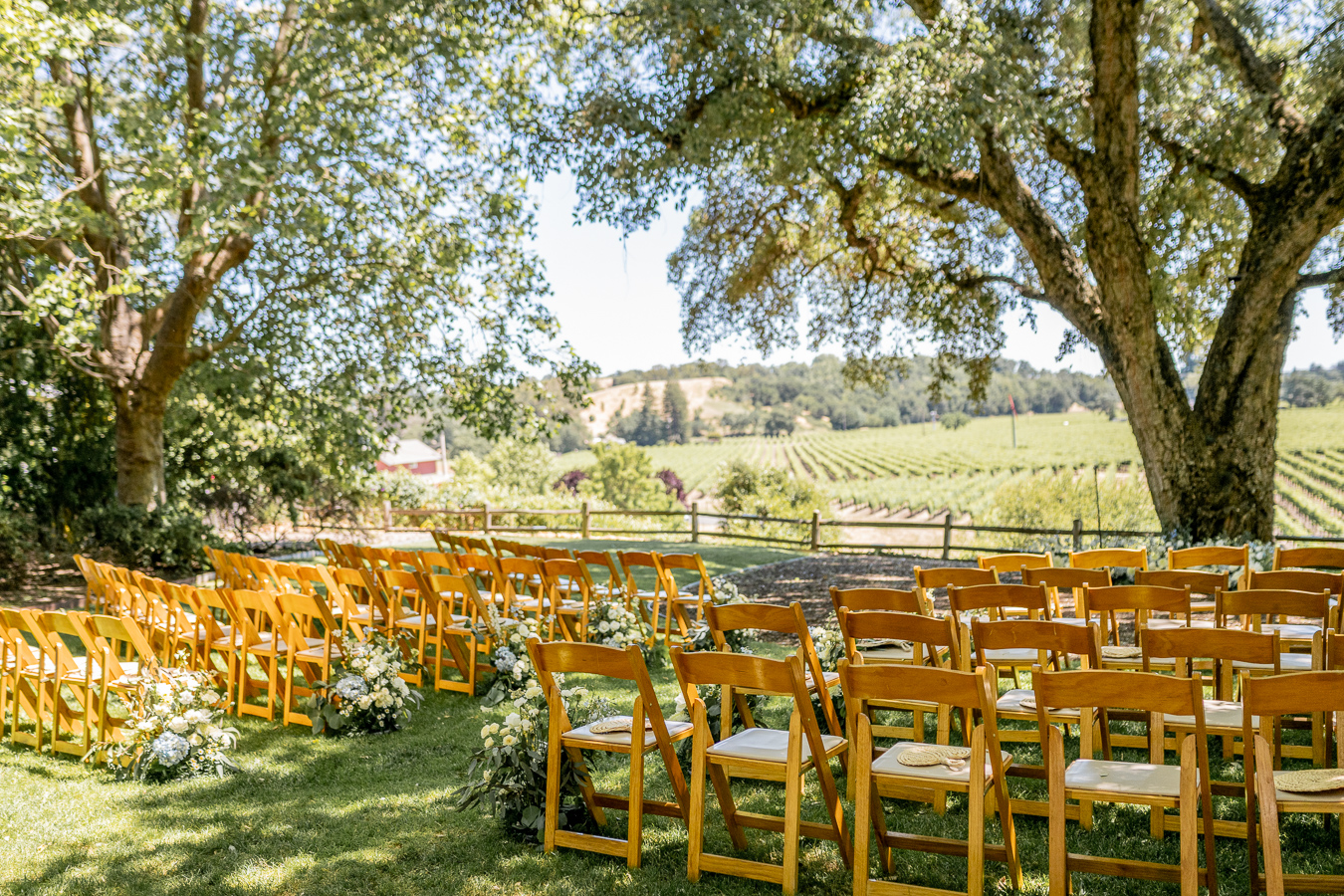 Bride and groom portrait at Ru's Farm vineyard Healdsburg