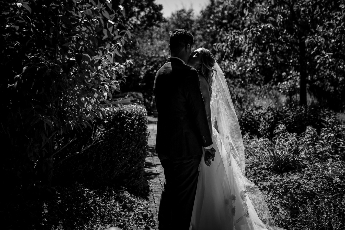 Ceremony under oak tree at Ru's Farm vineyard wedding