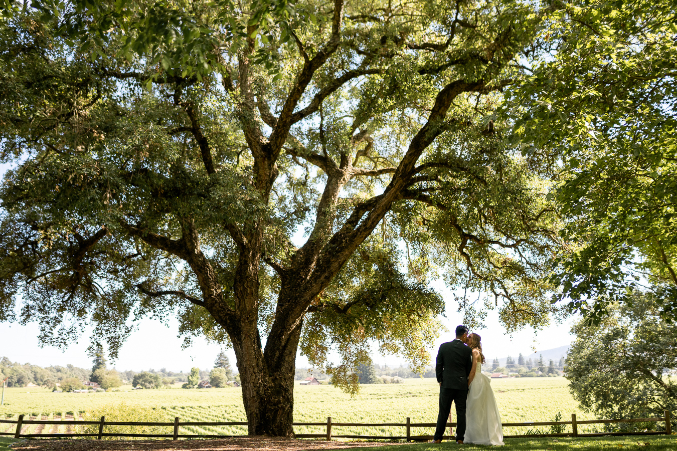 Newlyweds at Ru's Farm vineyard wedding Healdsburg CA